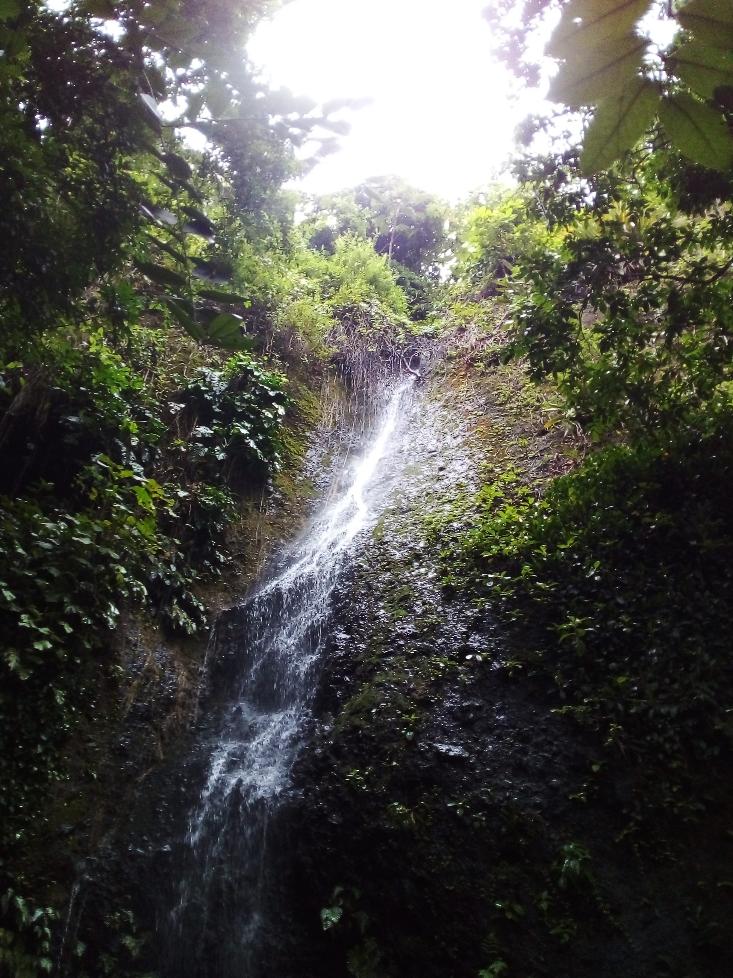 Guardiões do Cobre realizam 19ª Trilha Ecológica no Parque São Bartolomeu em defesa da cachoeira de Oxumaré